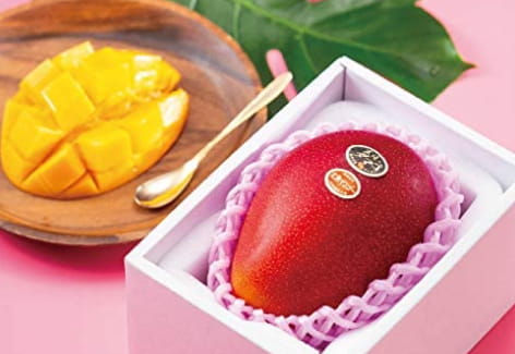 最高級ギフトに｜宮崎産「太陽のたまご」2L 2玉 約700g（12,000円）