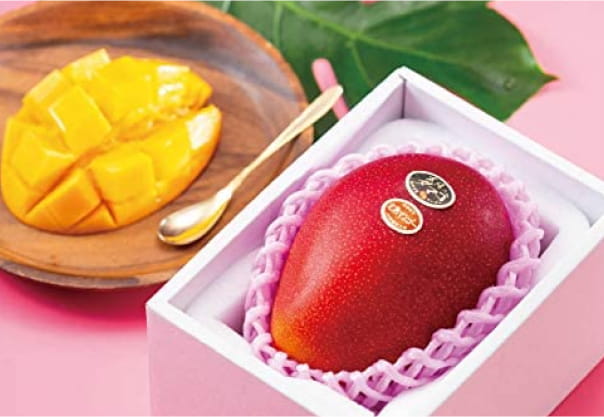 最高級ギフトに｜宮崎産「太陽のたまご」2L 2玉 約700g（12,000円）