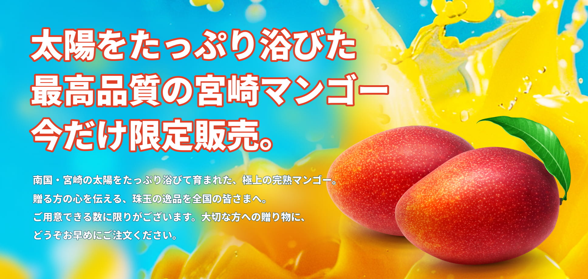 太陽をたっぷり浴びた最高品質の宮崎マンゴー。今だけ限定販売。